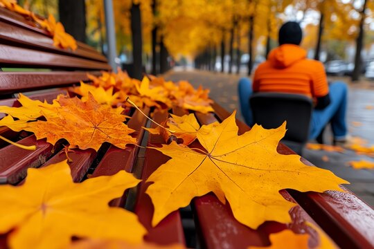 Figure sitting on a bench in a quiet park, watching the leaves fall, reflecting on yesterday with a peaceful sense of closure