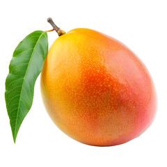 Mango isolated on transparent background