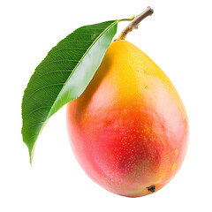Mango isolated on transparent background