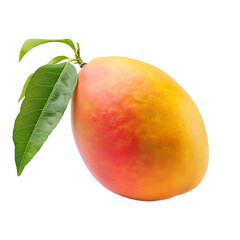 Mango isolated on transparent background