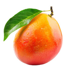 Mango isolated on transparent background