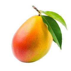 Mango isolated on transparent background