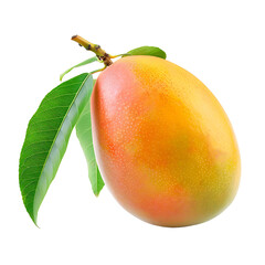 Mango isolated on transparent background