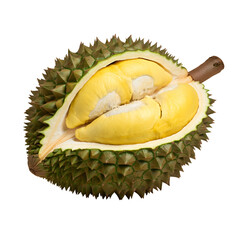 Fototapeta premium Durian Fruit. png isolated background. transparent background