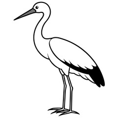 Wader Bird Elegant Shorebird Illustrations for Nature and Wildlife Projects