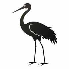 Obraz premium Wader Bird Elegant Shorebird Illustrations for Nature and Wildlife Projects