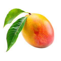 Mango isolated on transparent background