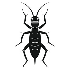 earwig silhouette isolated on white 