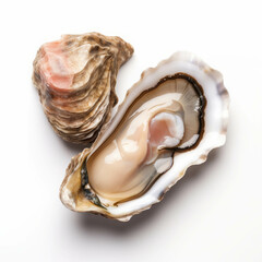 Naklejka premium Fresh Oyster Close-Up on White Background
