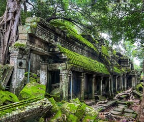Fototapeta premium Ta prom temple, Siem reap, Cambodia