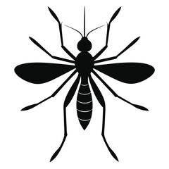 mosquito silhouette isolated on white 