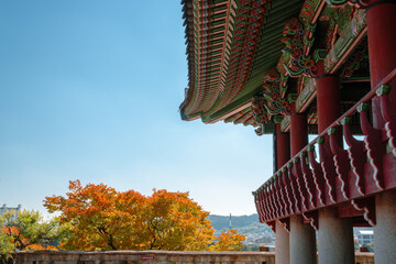autumn in the park