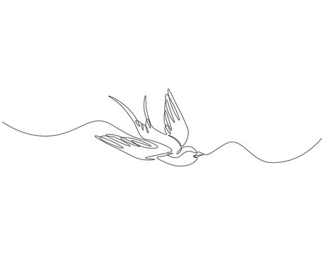 recommend clip art: Continuous one line drawing of flying swallow bird. One line drawing illustration of swallow bird in flight. World migratory bird day concept line art. Editable outline