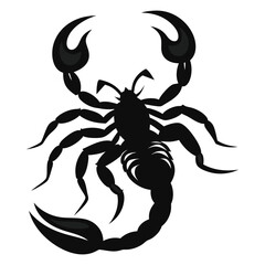 scorpion isolated on white