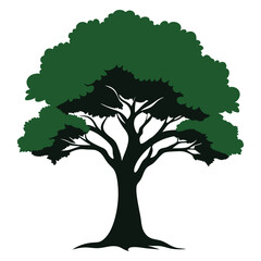 Obraz premium tree isolated on white