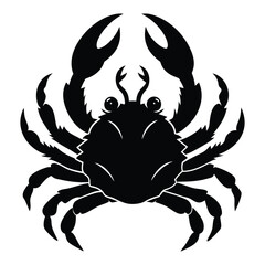 red crab on white