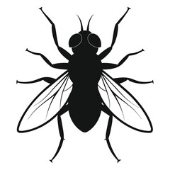 fly silhouette isolated on white 