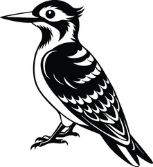 Woodpecker vector silhouette illustration