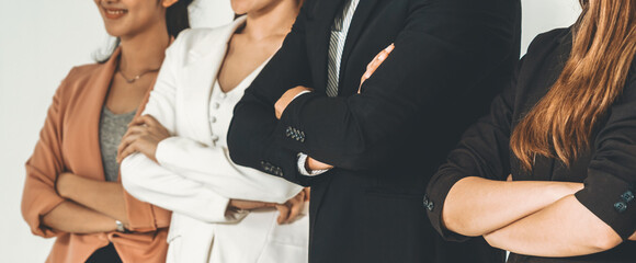 Businesswomen and businessman standing in row in office. Corporate business and teamwork concept. uds