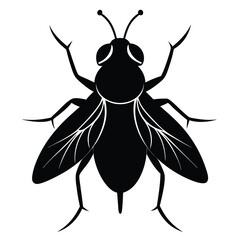 fly silhouette isolated on white