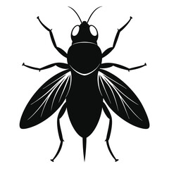 fly silhouette isolated on white