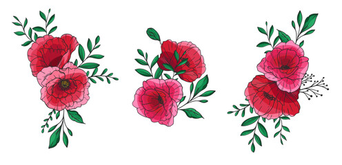 Poppy Flower Vector Illustration. Red Poppies on white background. Remembrance day design. Botanical Background trendy colorful wildflowers. Hand drawn floral background template. Floral Art. Poppy 