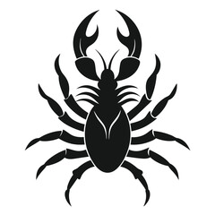 crustacean on a white background