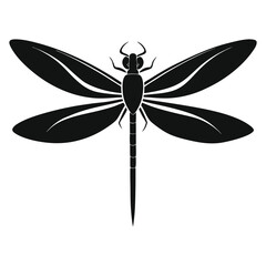 dragonfly on white background
