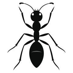 ant silhouette isolated on white