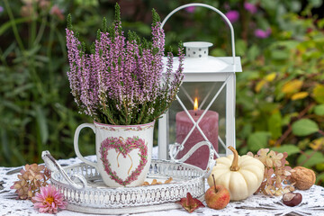 Herbst-Arrangement  mit Heidekraut in einer Tasse, Kürbiss und Laterne