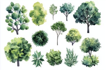 Fototapeta premium Various green trees, bushes and shrubs, top view for landscape design plan. Vector watercolor illustration, isolated on white background. 