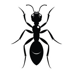 ant silhouette icon illustration 