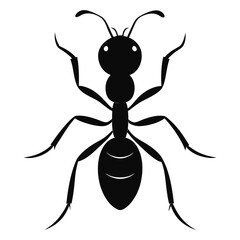 ant silhouette icon illustration 