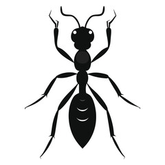 ant silhouette icon illustration 