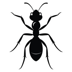 black ant cartoon art isolated on white