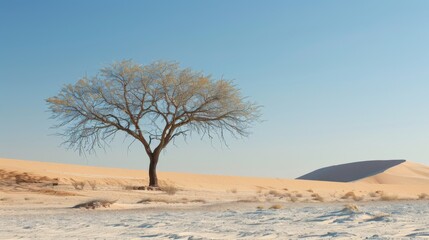 Single, one tree in the desert. Illustration generated by ai