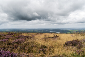 La bruyère en fleurs et les herbes dorées animent le premier plan, alors que l'Aulne serpente à travers les champs de cultures sous un ciel couvert. Un paysage typiquement breton.