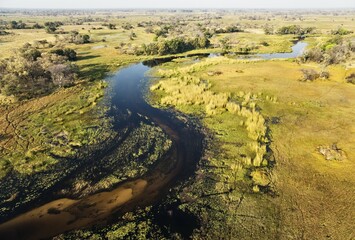 Naklejka premium The Gomoti River with its adjoining freshwater marshland, aerial view, Okavango Delta, Botswana, Africa