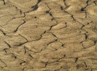 Wavy pattern in the sand of beach, Cadiz province, Andalusia, Spain, Europe