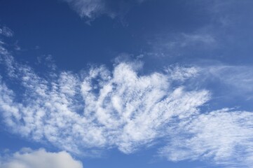 Fleecy clouds (Cirrocumulus)