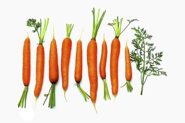 Carrots against a white background