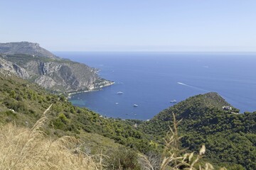 Fototapeta premium Coast, Cap d'Ail, French Riviera, Cote d'Azur, France, Europe
