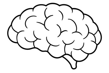 Human Brain | vector silhouette illustration on white background