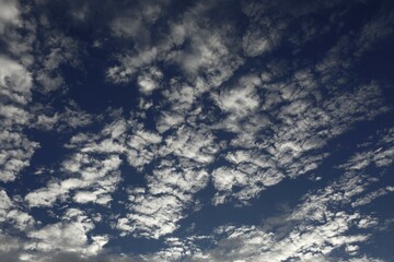 Feather clouds in autumn, Middle Elbe Biosphere Reserve, Dessau-Roßlau, Saxony-Anhalt, Germany,...