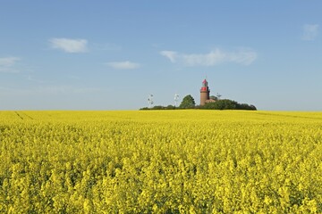 Lighthouse Buk with flowering rape field, Bastorf, Mecklenburg-Western Pomerania, Germany, Europe
