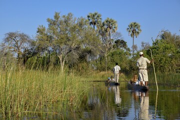 Tourists in a mokoro or dugout boat on safari in swamp area, Gomoti Plains Camp, Gomoti Concession Area, Okavango Delta, Botswana, Africa © Fabian von Poser/imageBROKER