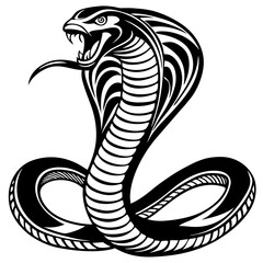 black and white snake