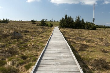 Bog, Ruthard-Hambrecht-Weg, Ruthard-Hambrecht path, Hornisgrinde, Black Forest National Park, Baden-Württemberg, Germany, Europe