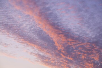Rosy cirrus clouds, Dawn, Germany, Europe