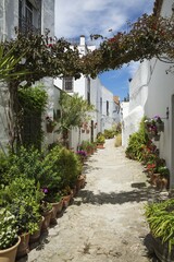 Alleyway with flowerpots and brillianty whitewashed houses in the hilltop town of Vejer de la Frontera, Cadiz province, Andalusia, Spain, Europe